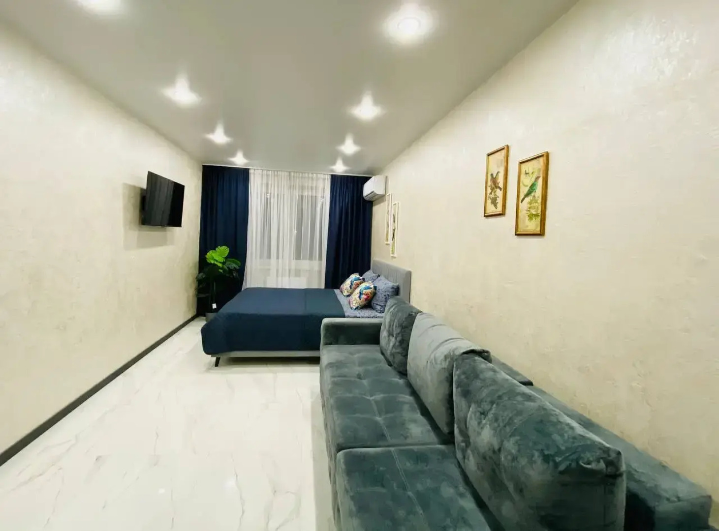 Квартира Люкс Королевский синий