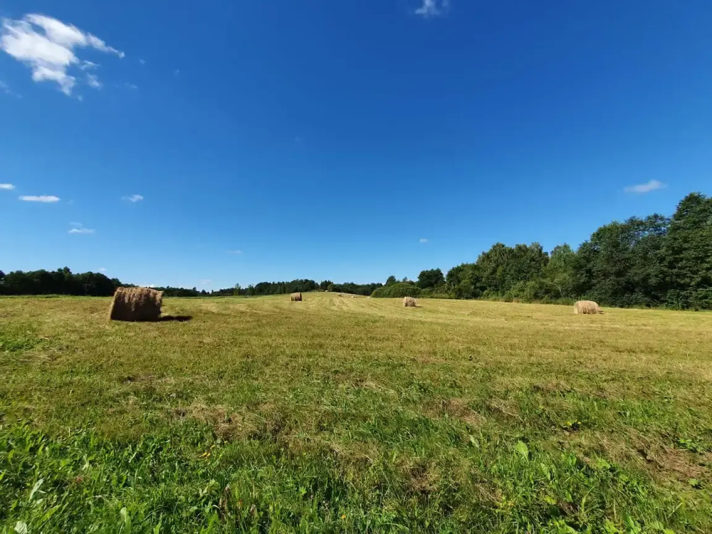 Бунгало Изба у Озера. Хутор Пралище