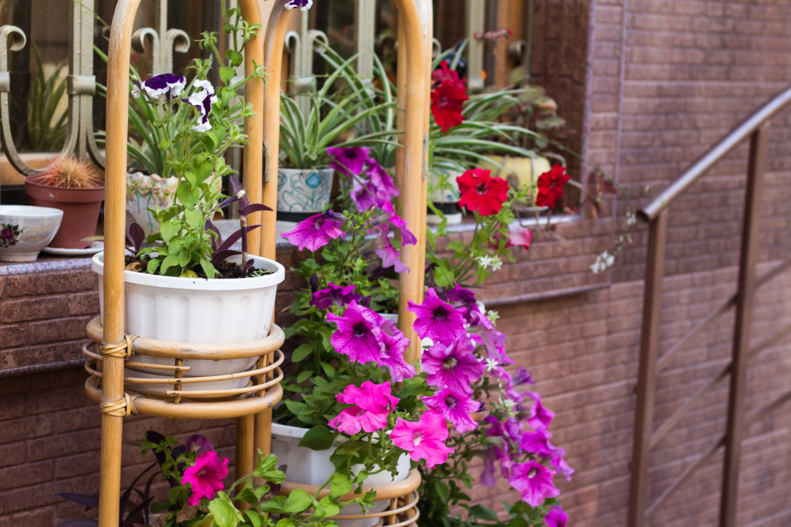 Гостевой Дом Каталония