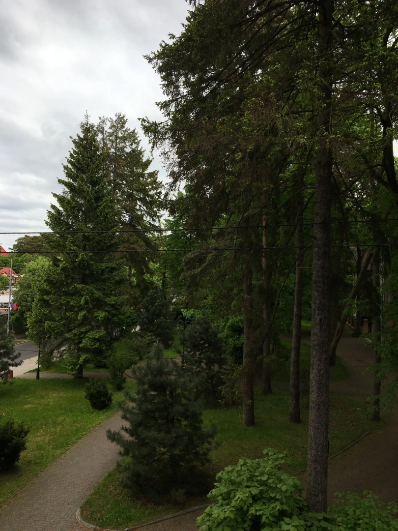 Апартаменты Раушен-Апарт