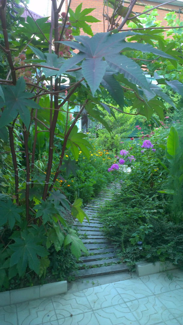 Гостевой дом У Борисовны