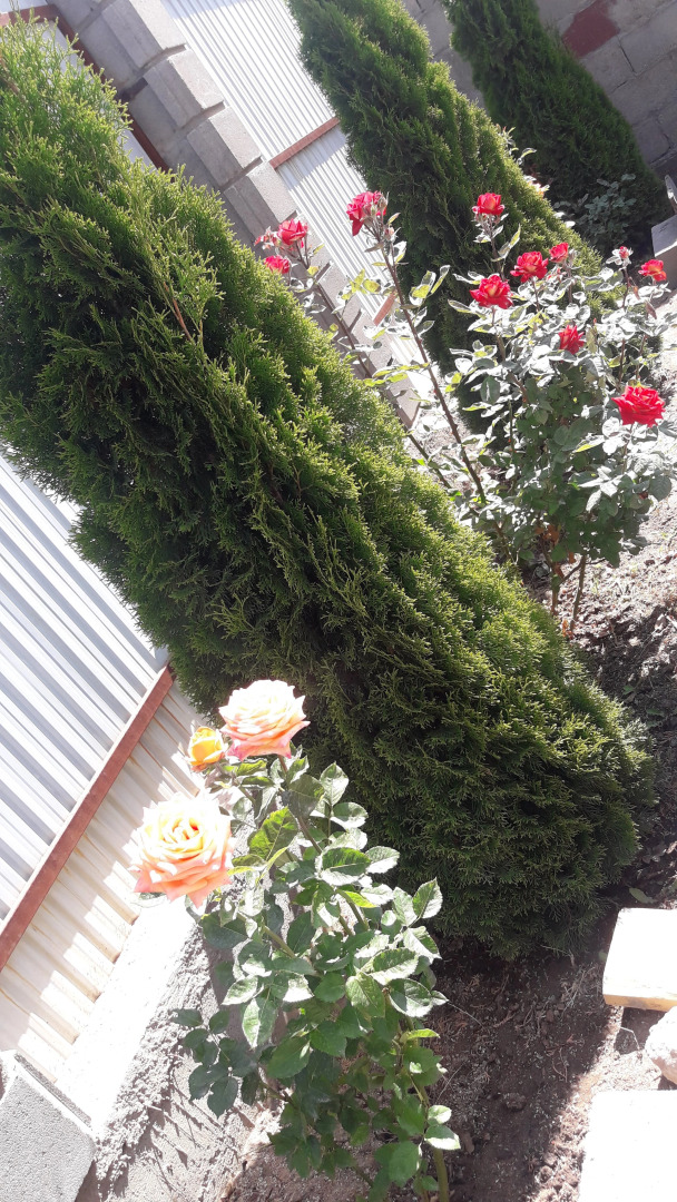 Гостевой Дом Эдем Иссык-Куль