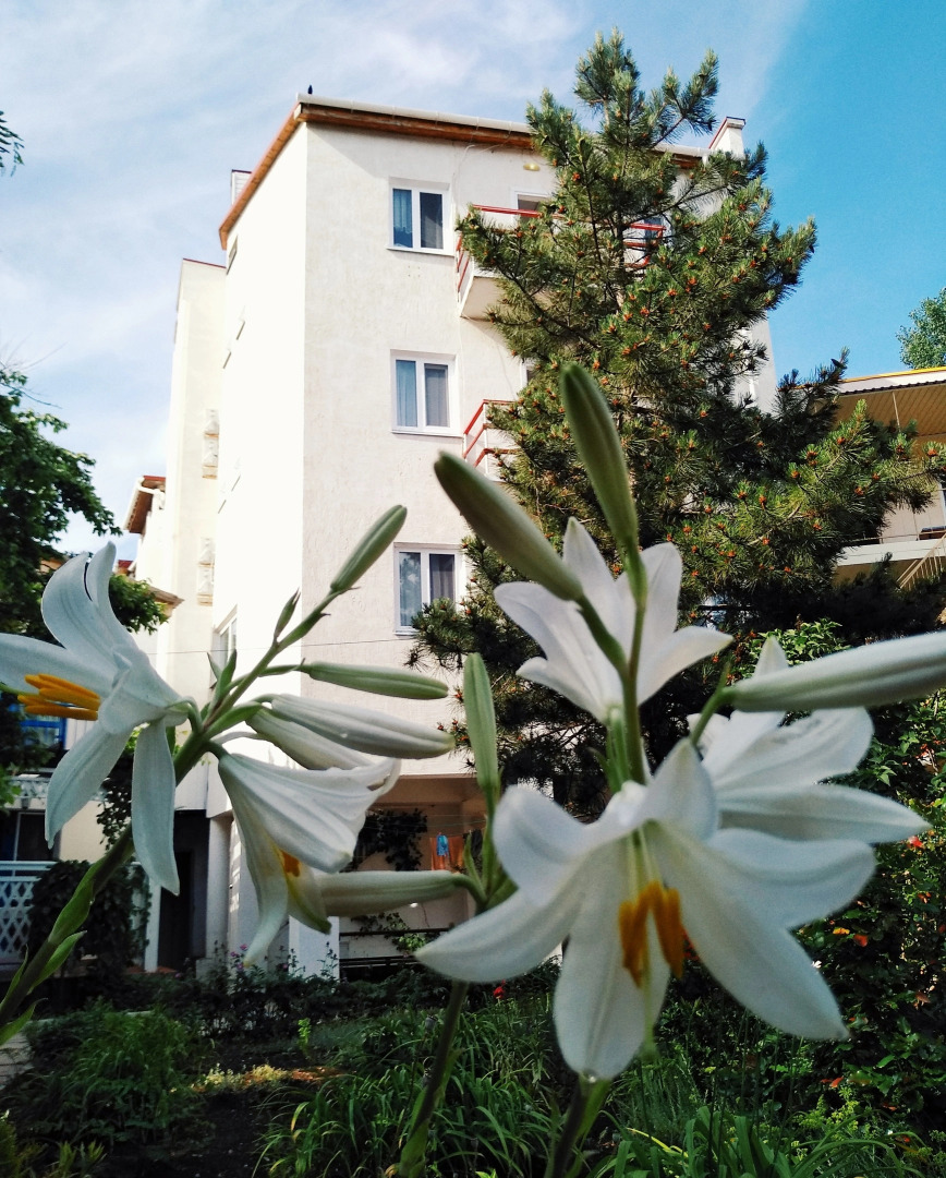 Отель Белый