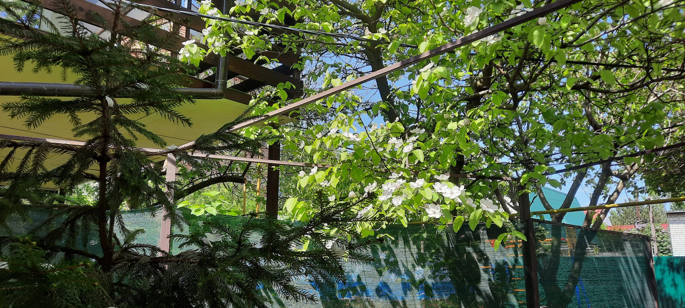 Гостевой дом на Горького