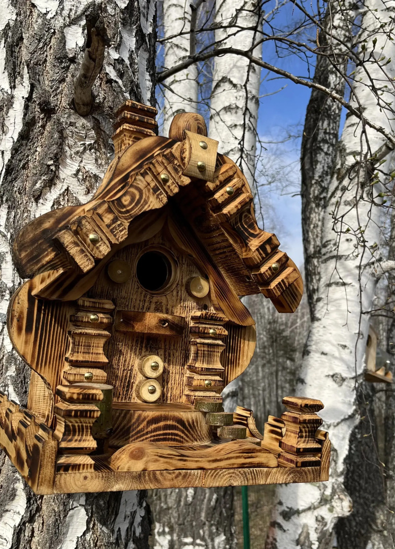 Частный дом Загородный дом в окружении леса