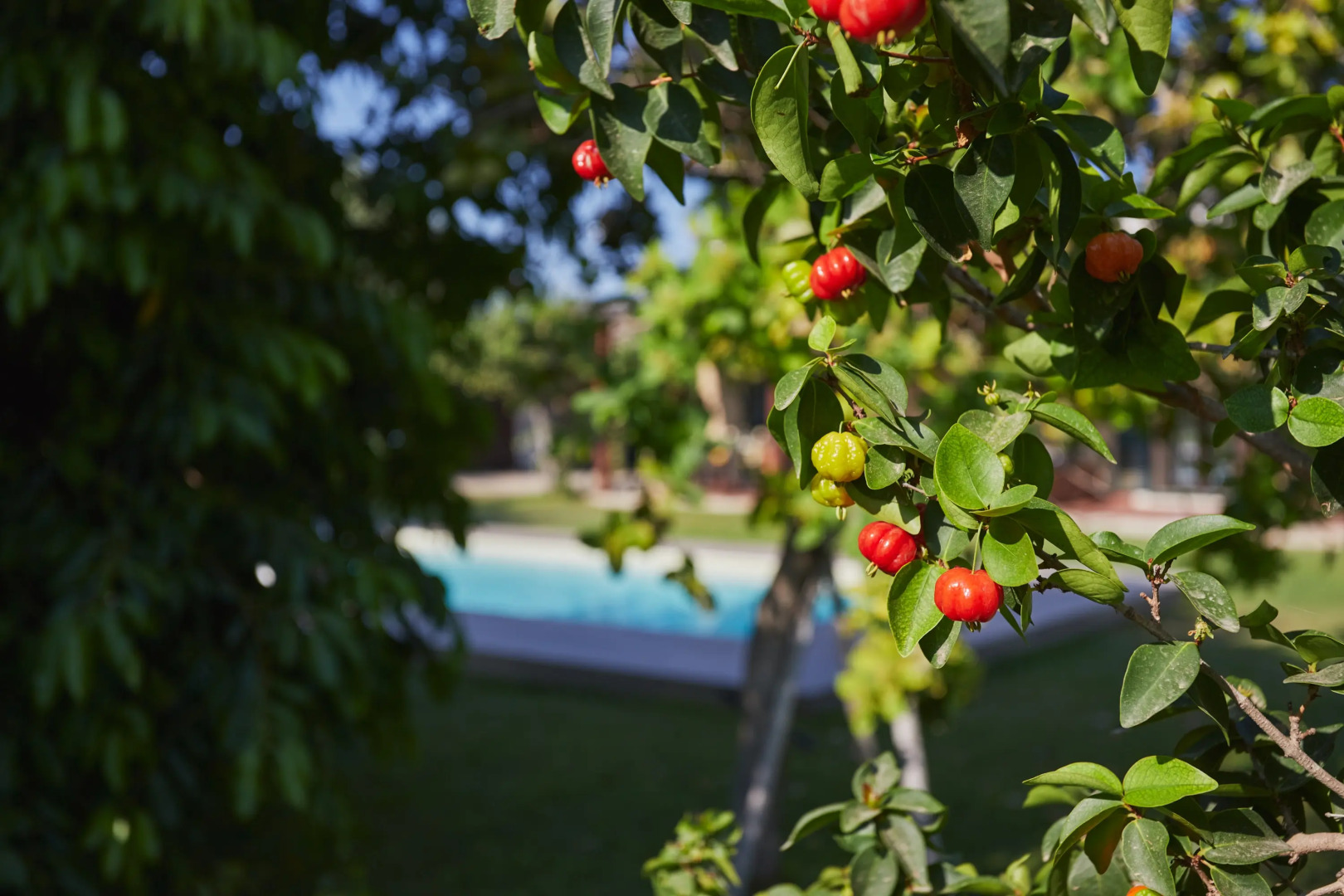Вилла Casale della Pergola