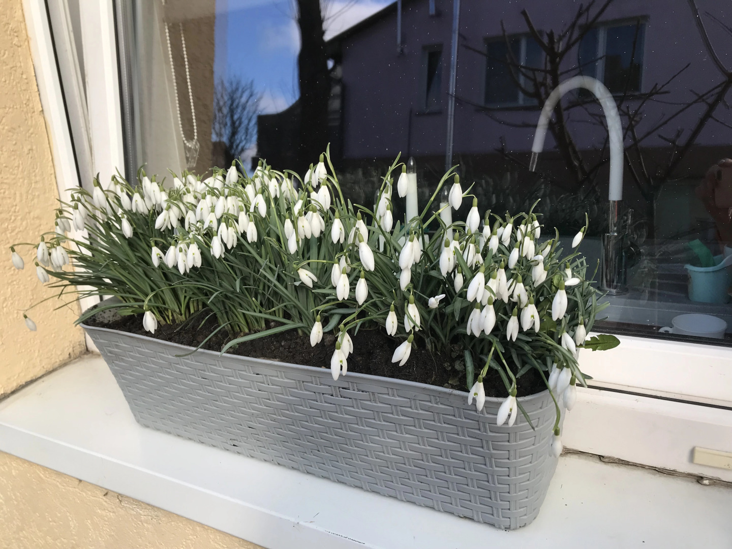 Апартаменты Студия с Отдельным Входом Патио Мангал Парковка