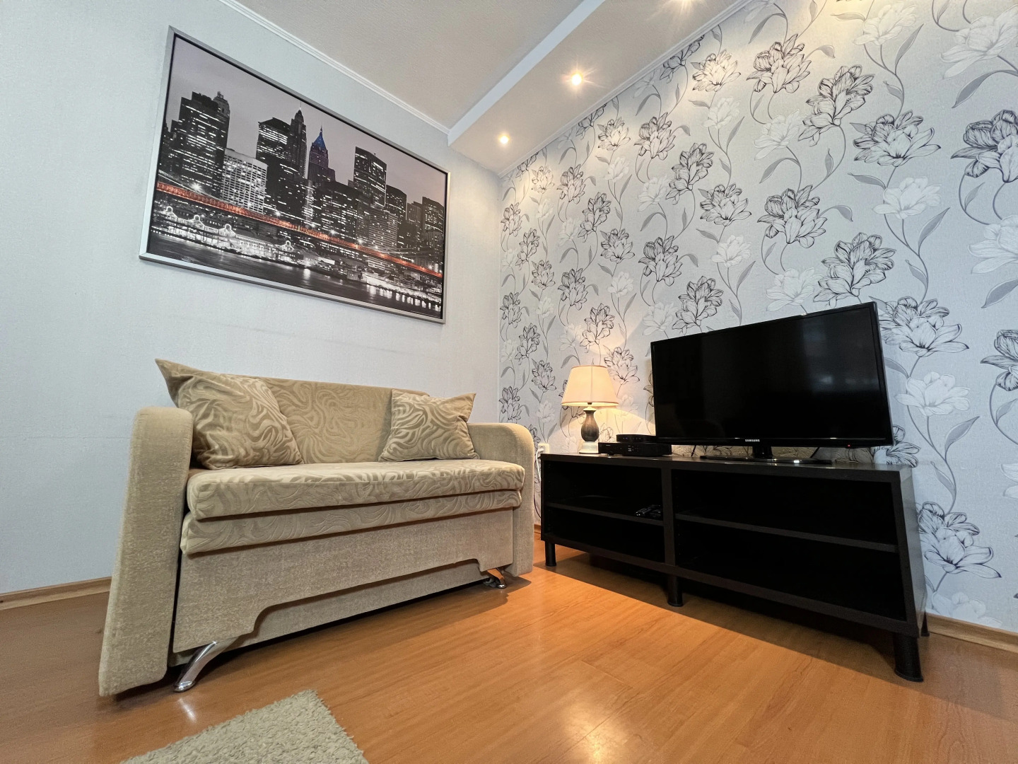 Квартира на Звездинке 3