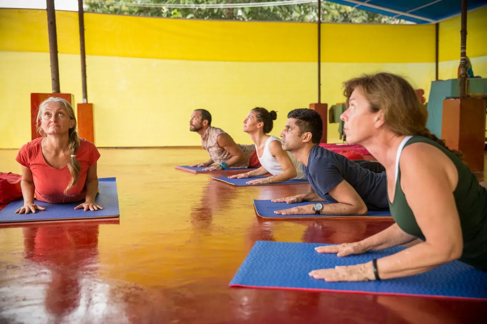 Отель Blue Planet Wellness