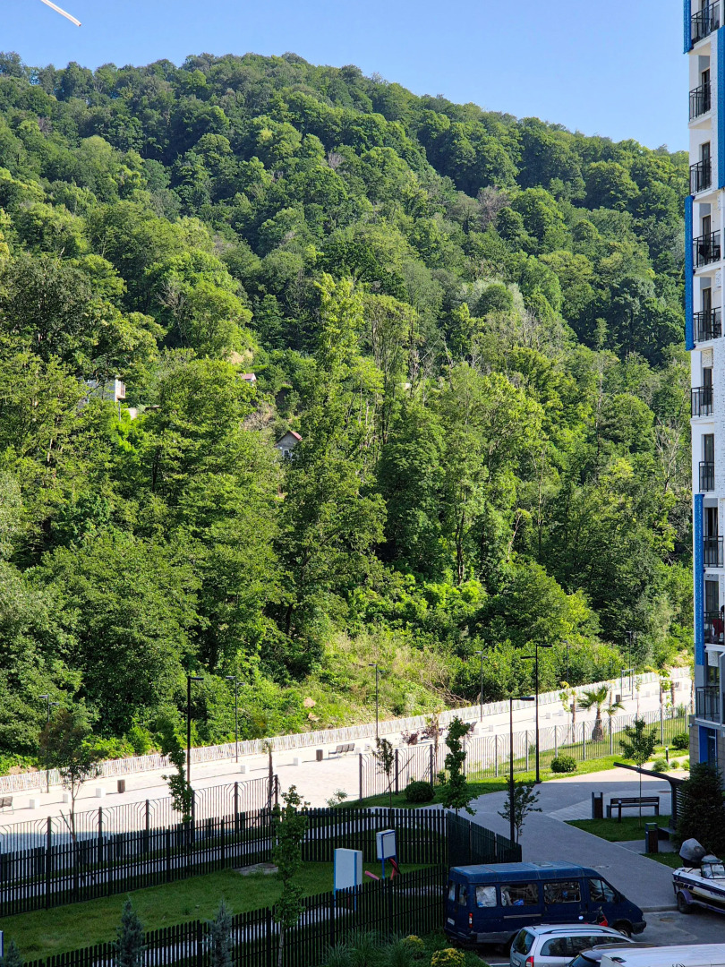 Квартира с Балконом в Одном из Самых Зеленых Районов Сочи