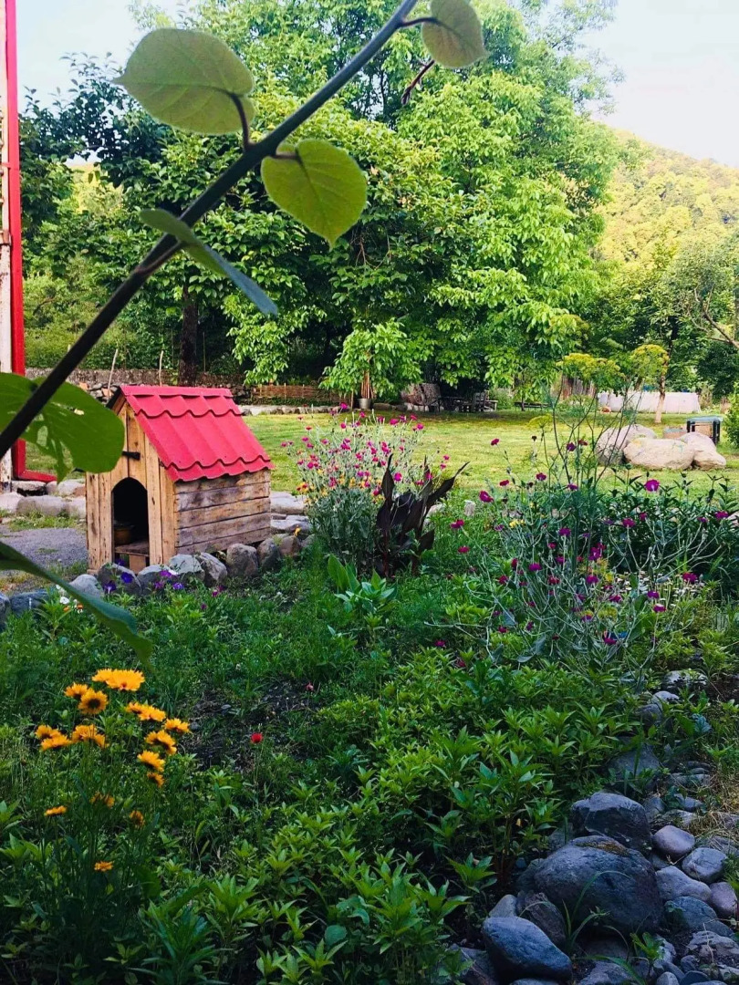 Guesthouse STAR Lagodekhi