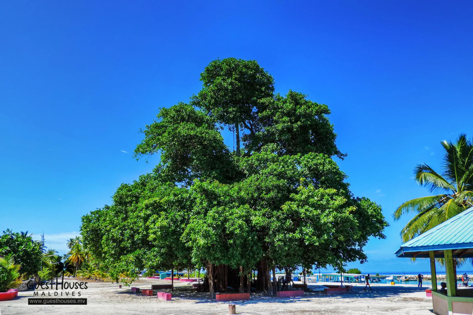 Гостевой Дом Feridhoo Inn