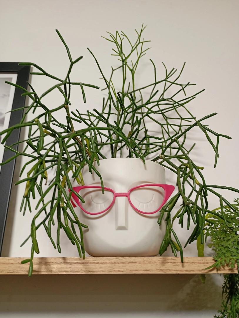 Апартаменты Дизайнерская студия для волшебных вечеров