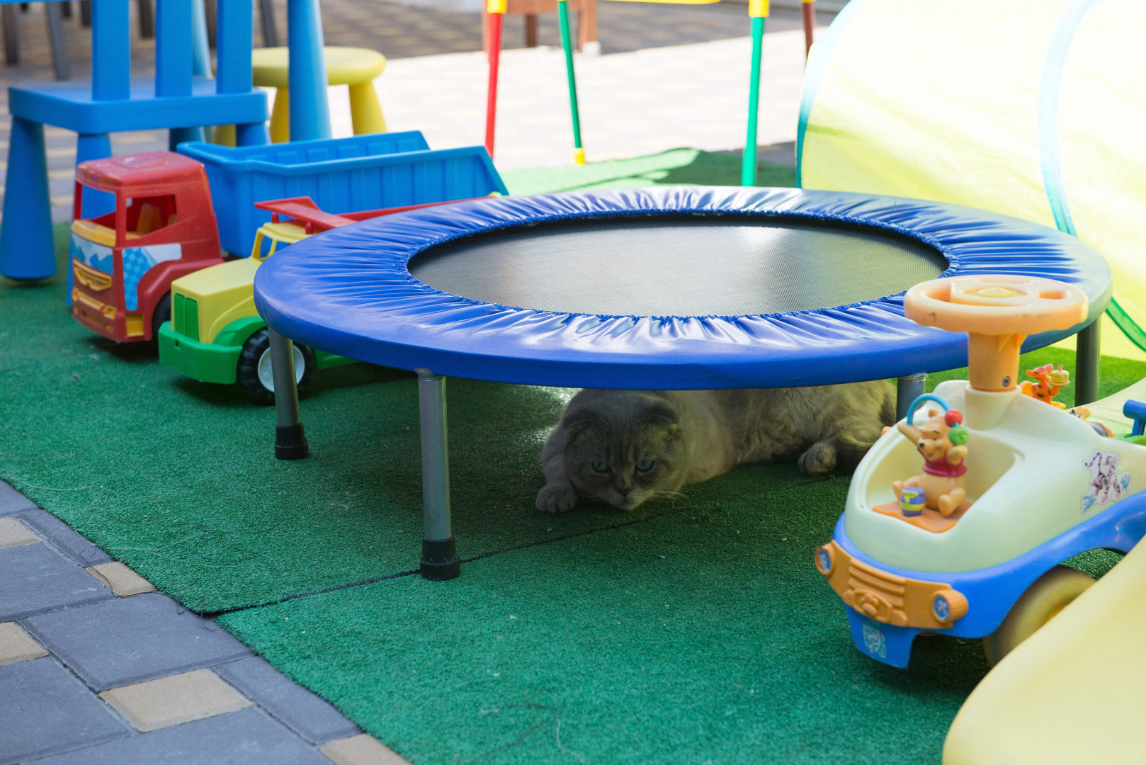 Гостевой дом Dolce Vita