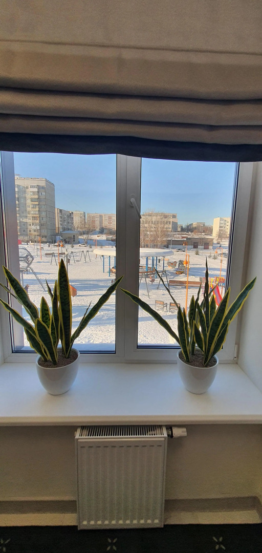 Отель Звездный