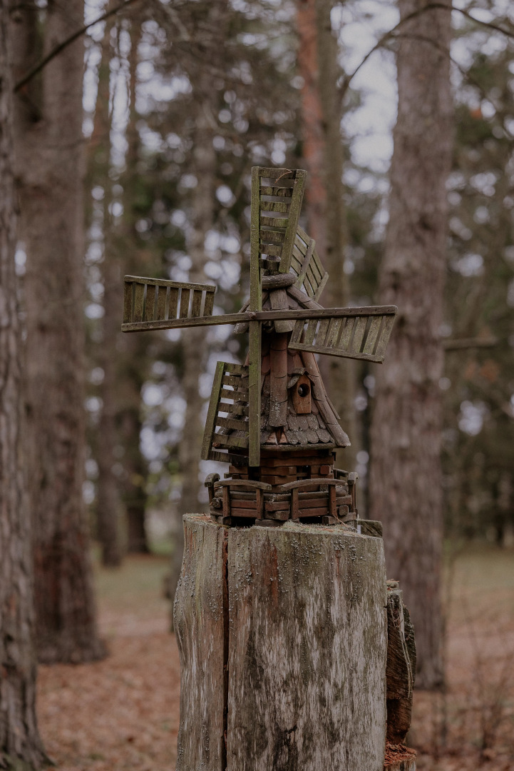 Отель Пайн Ривер
