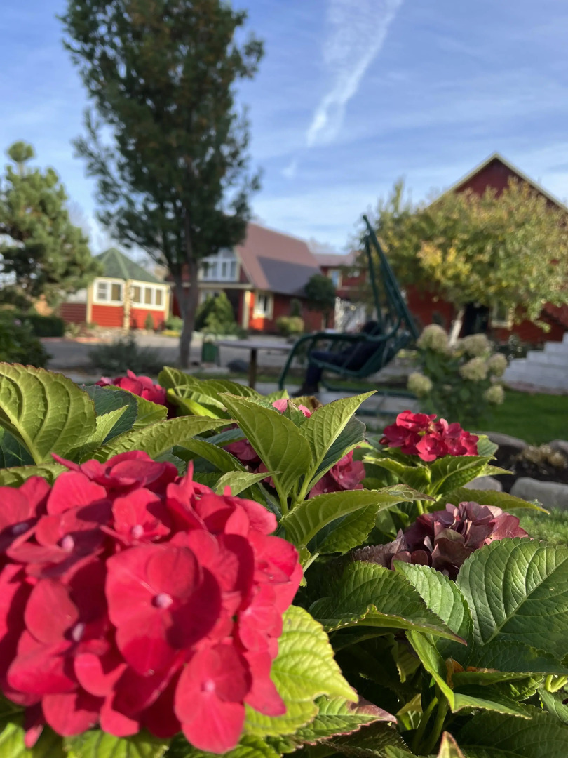 Гостевой дом Волшебный сад