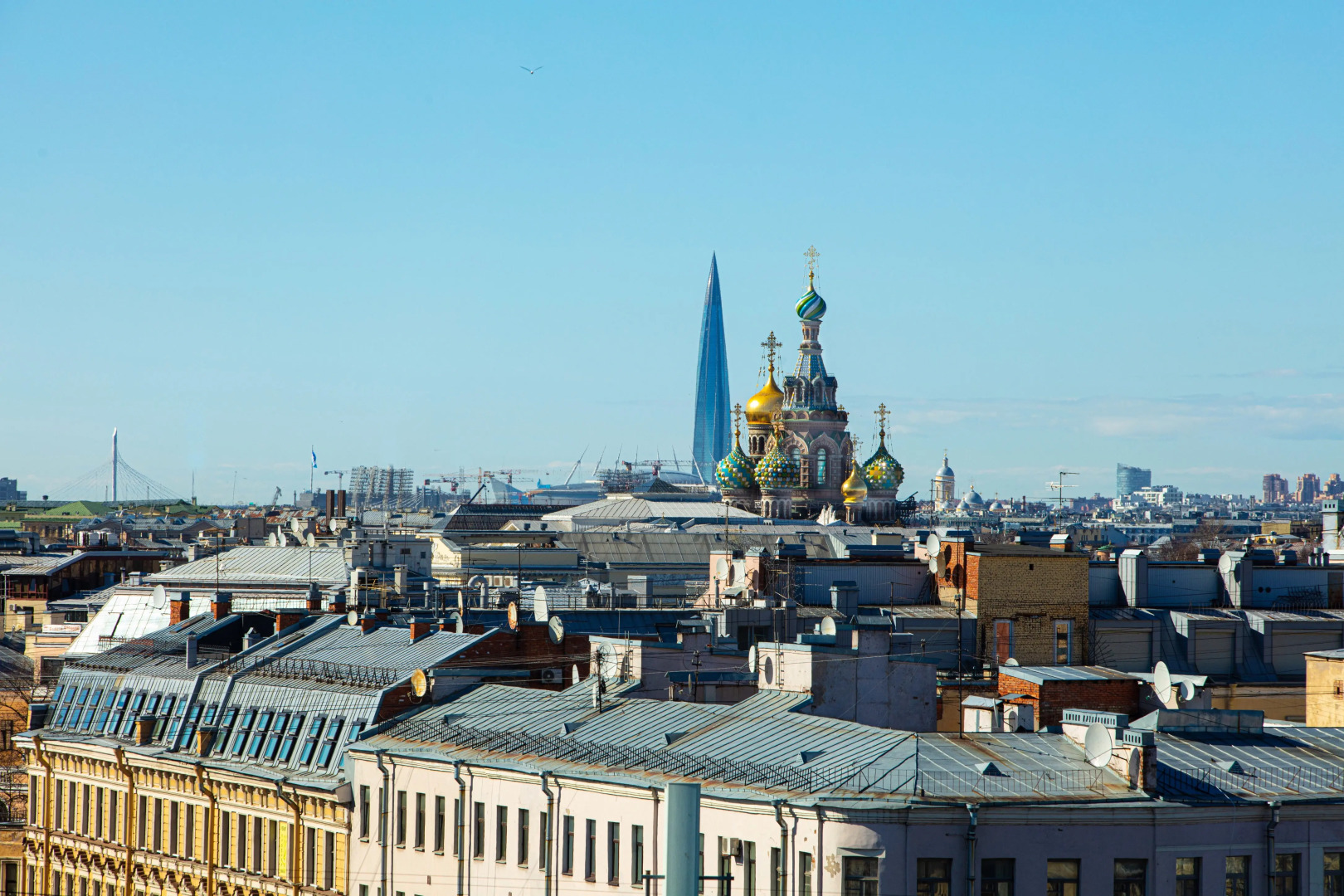 Апартаменты с террасой и видом на Петербург