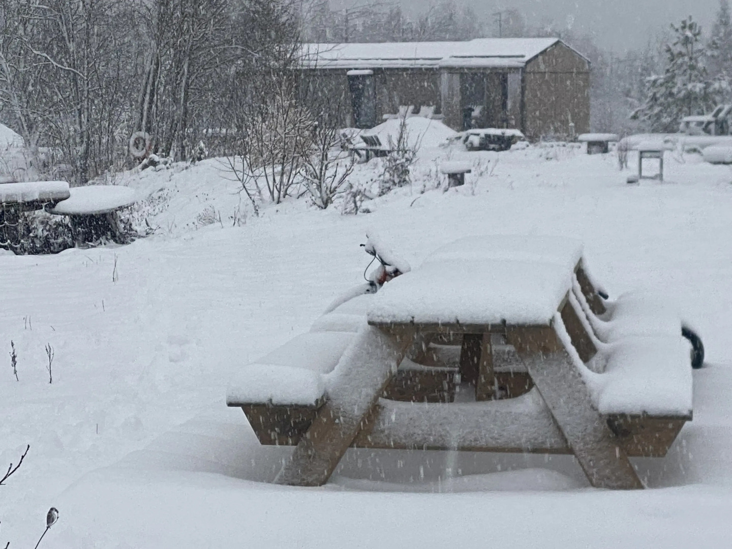 Гостевой дом Barn Petya ScoutHouse