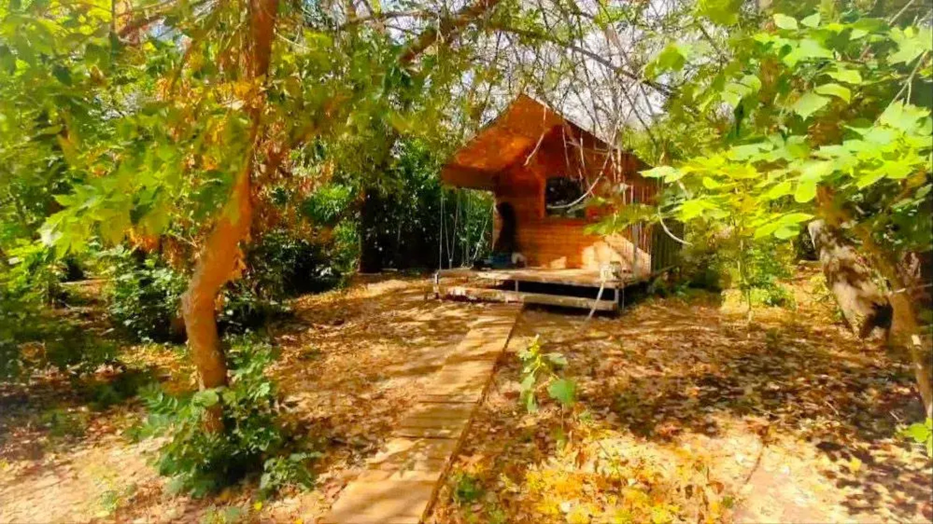 База отдыха Звезда на Ахтубе