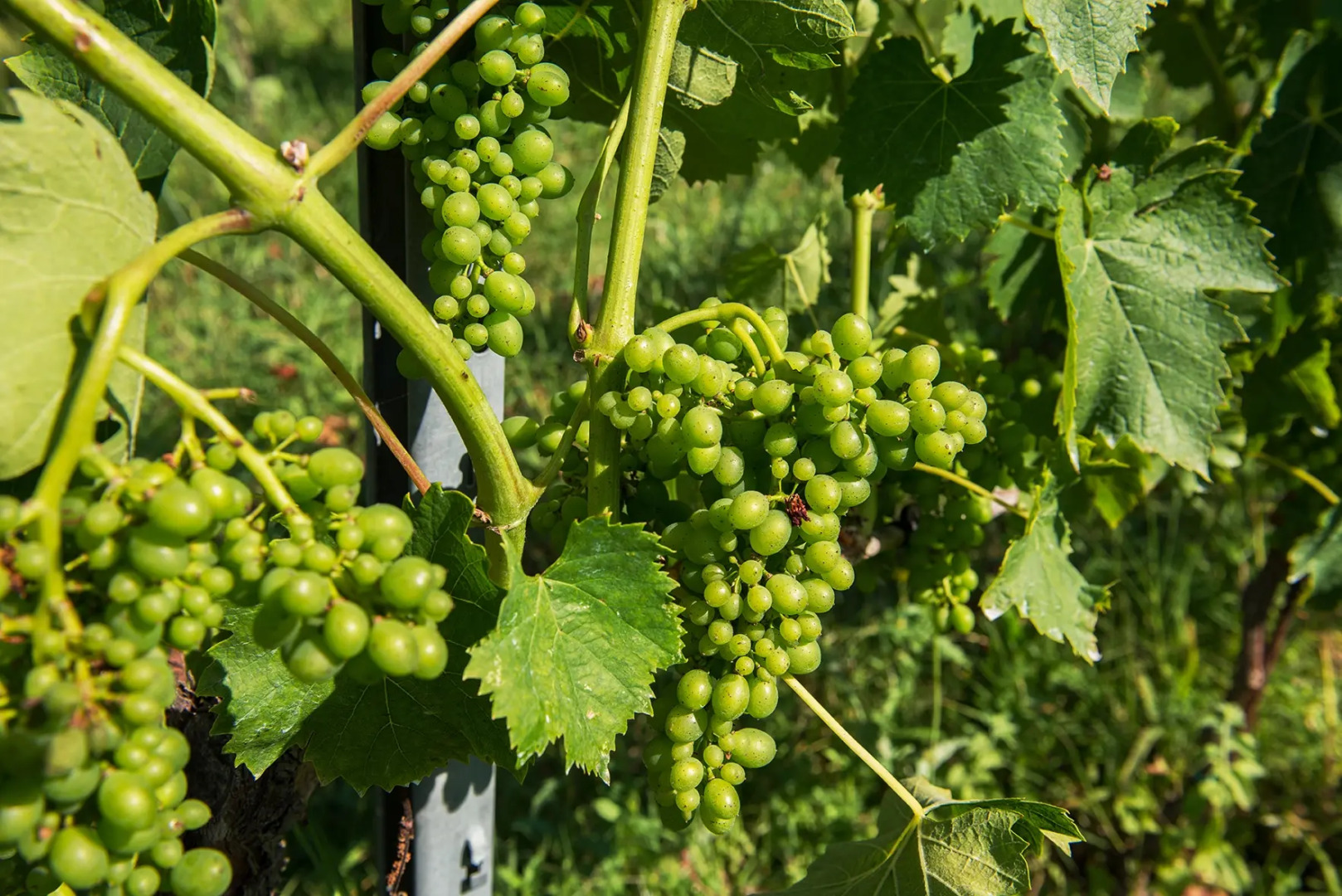 Отель Relai Sassa al Sole