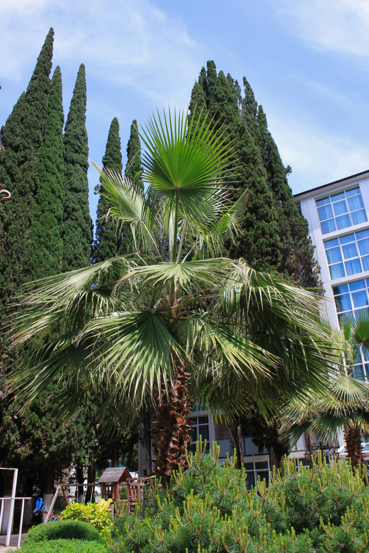 Отель Дом отдыха им. Челюскинцев