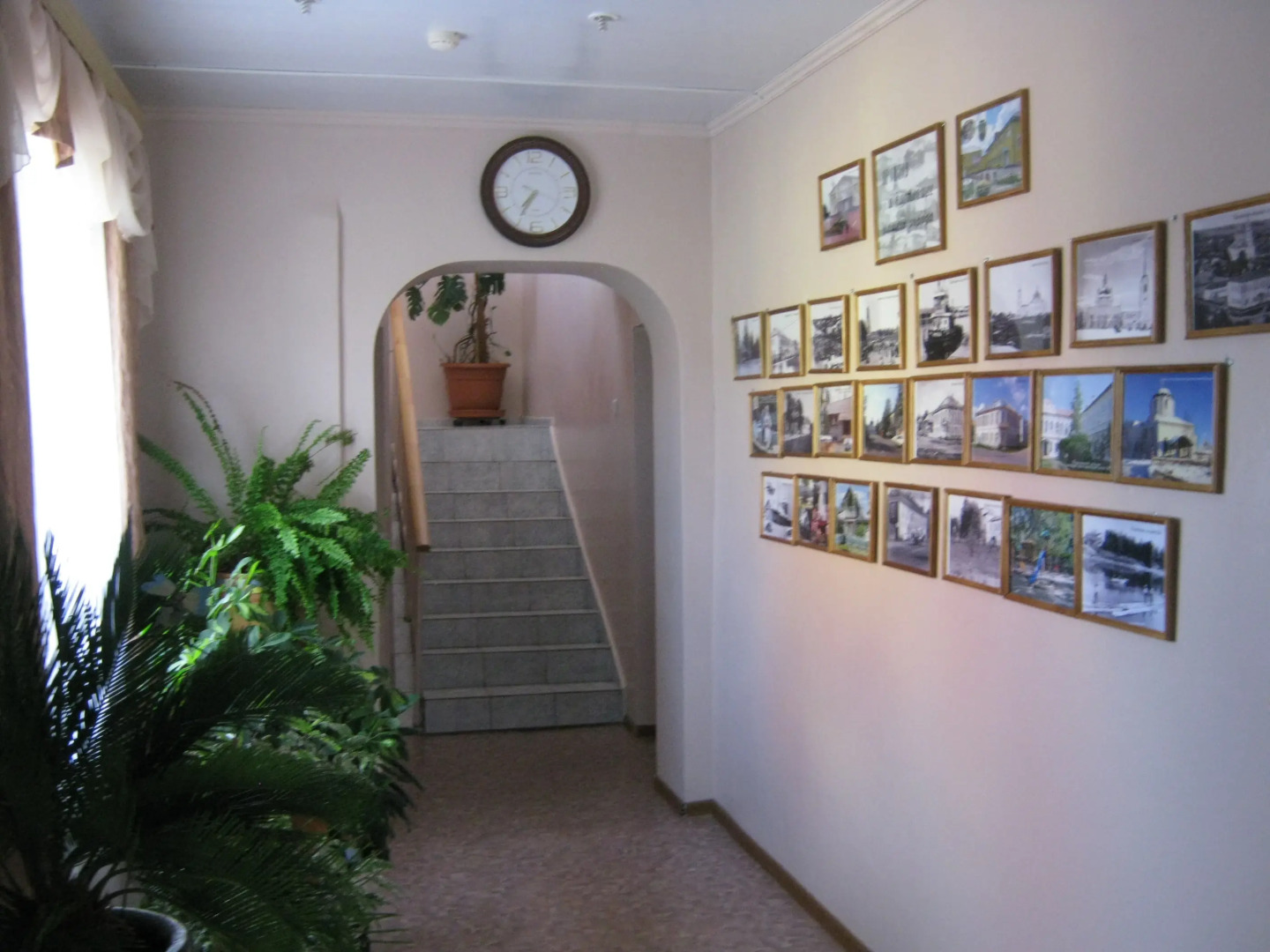 Отель Камелия