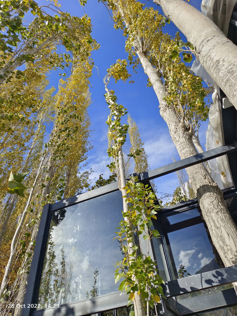 Курортный Отель Cloud Nine And A Half