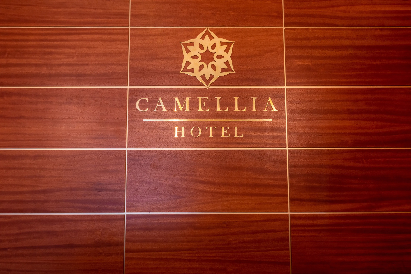 Отель Камелия