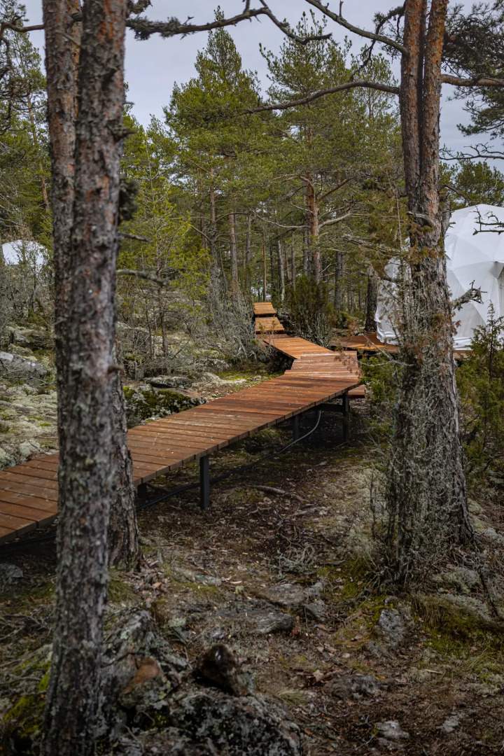 Глэмпинг Lago Ladoga