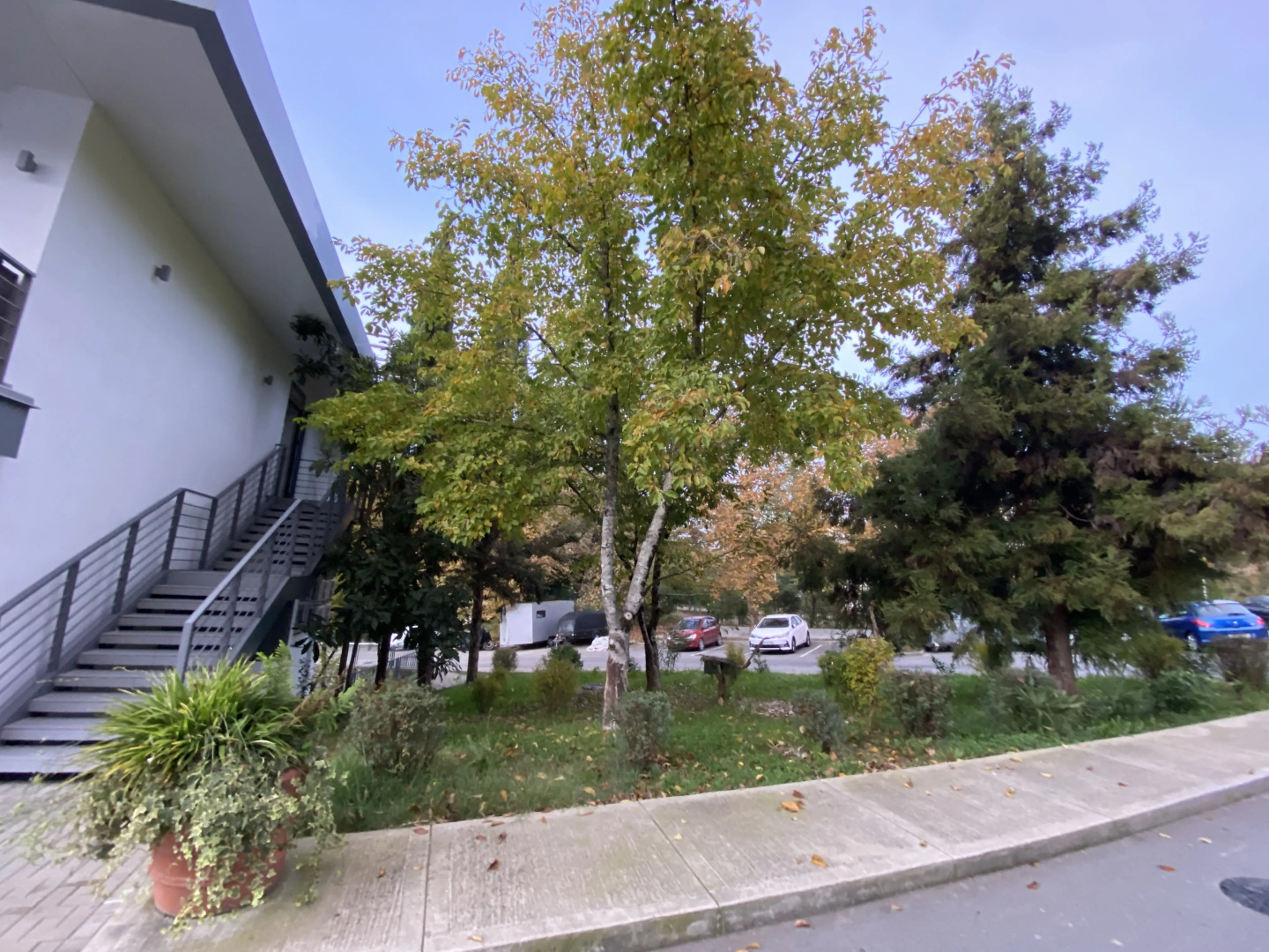 Апартаменты Стандарт 2-местный Комфорт