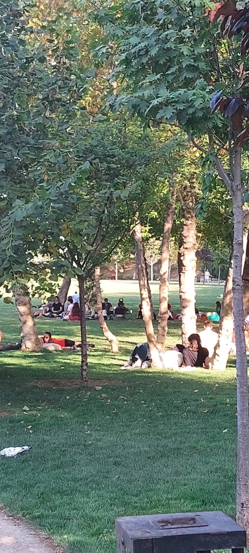 Апартаменты Kiwi