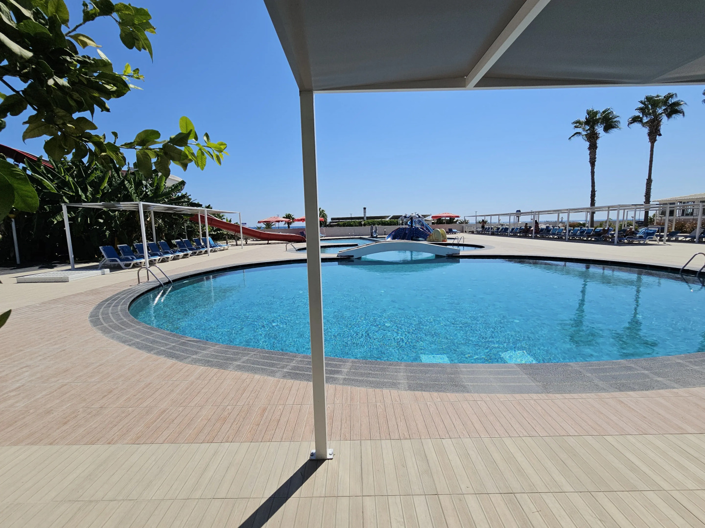 Отель Exotic Hotel & SPA