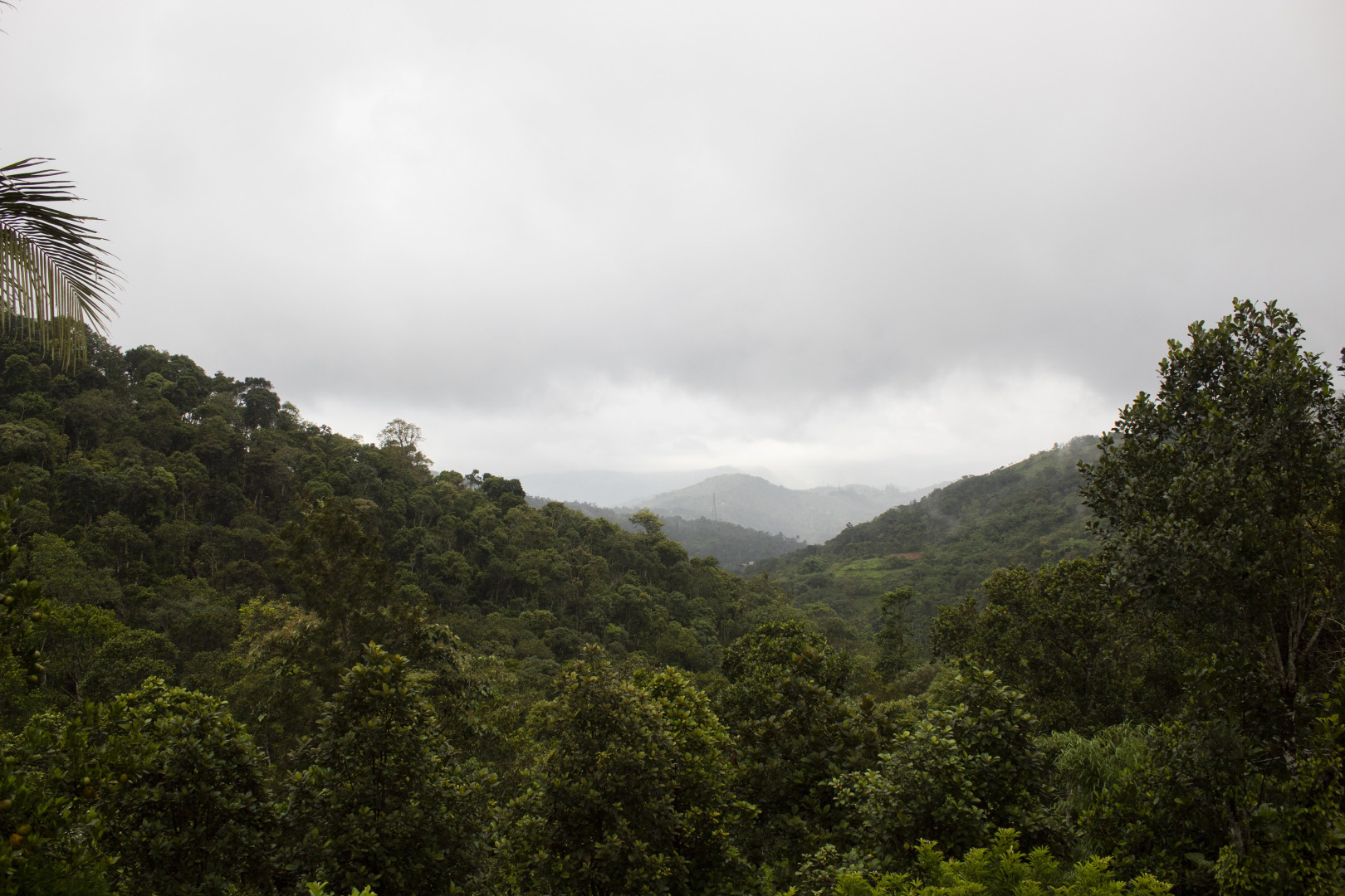 Апартаменты True Blue Plantation Premium