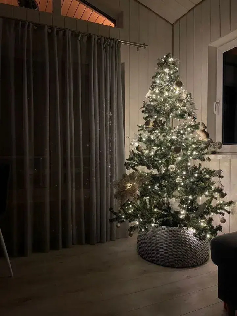 Частный дом Баpнxауc в Сосновом Бору