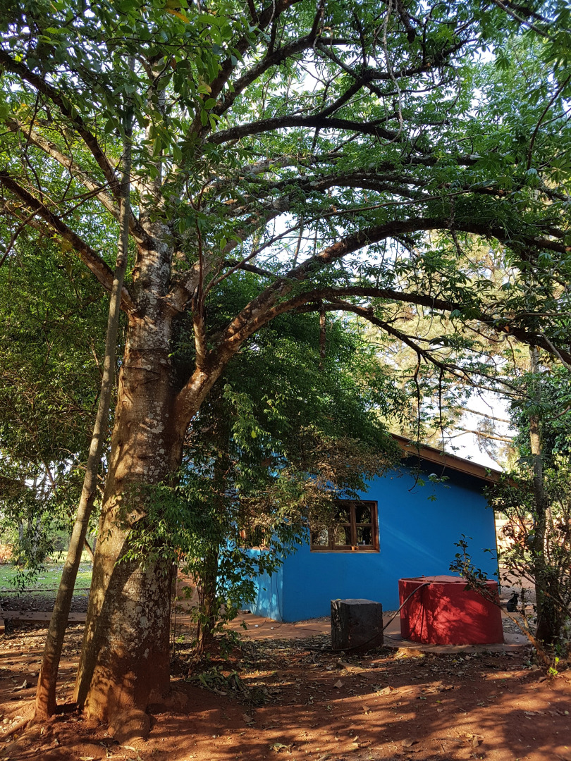 Гостевой Дом Casa Yaguarete