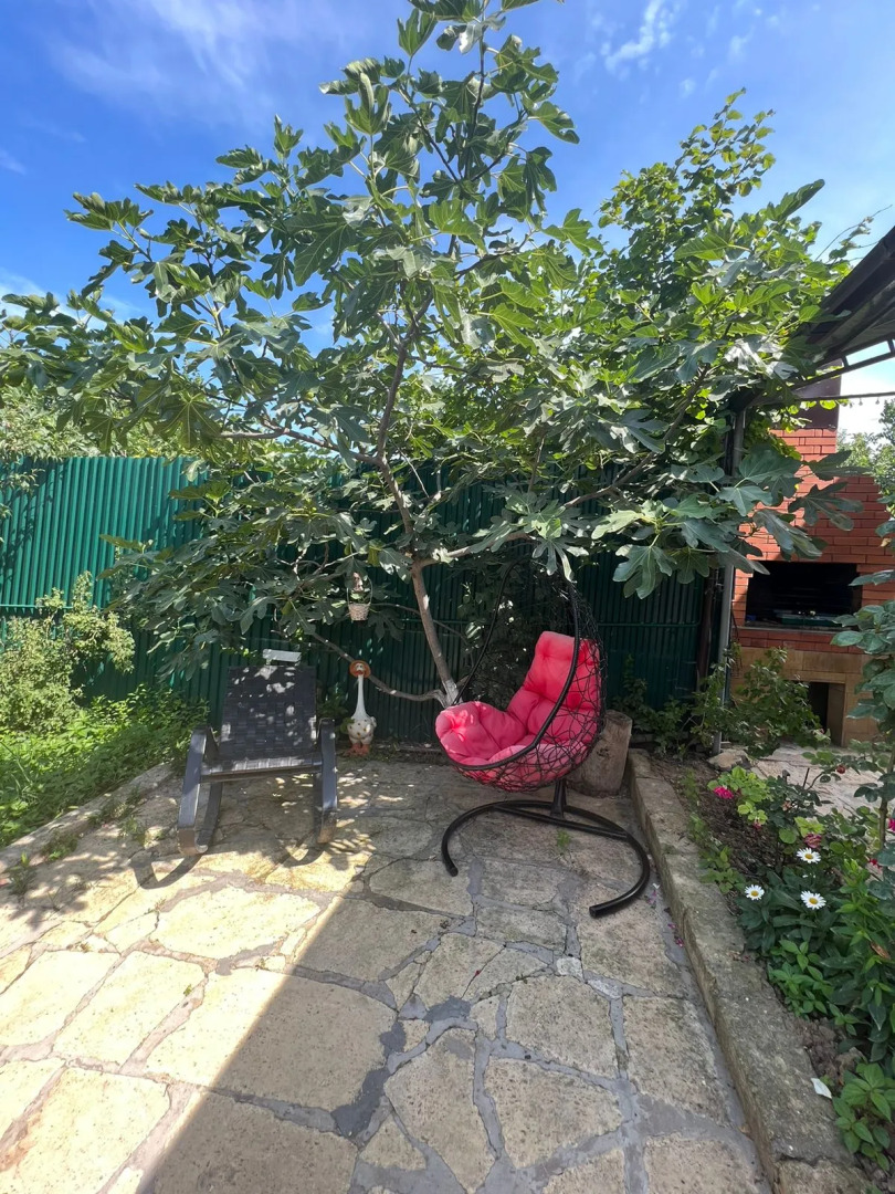 Частный дом на берегу Каспийского моря