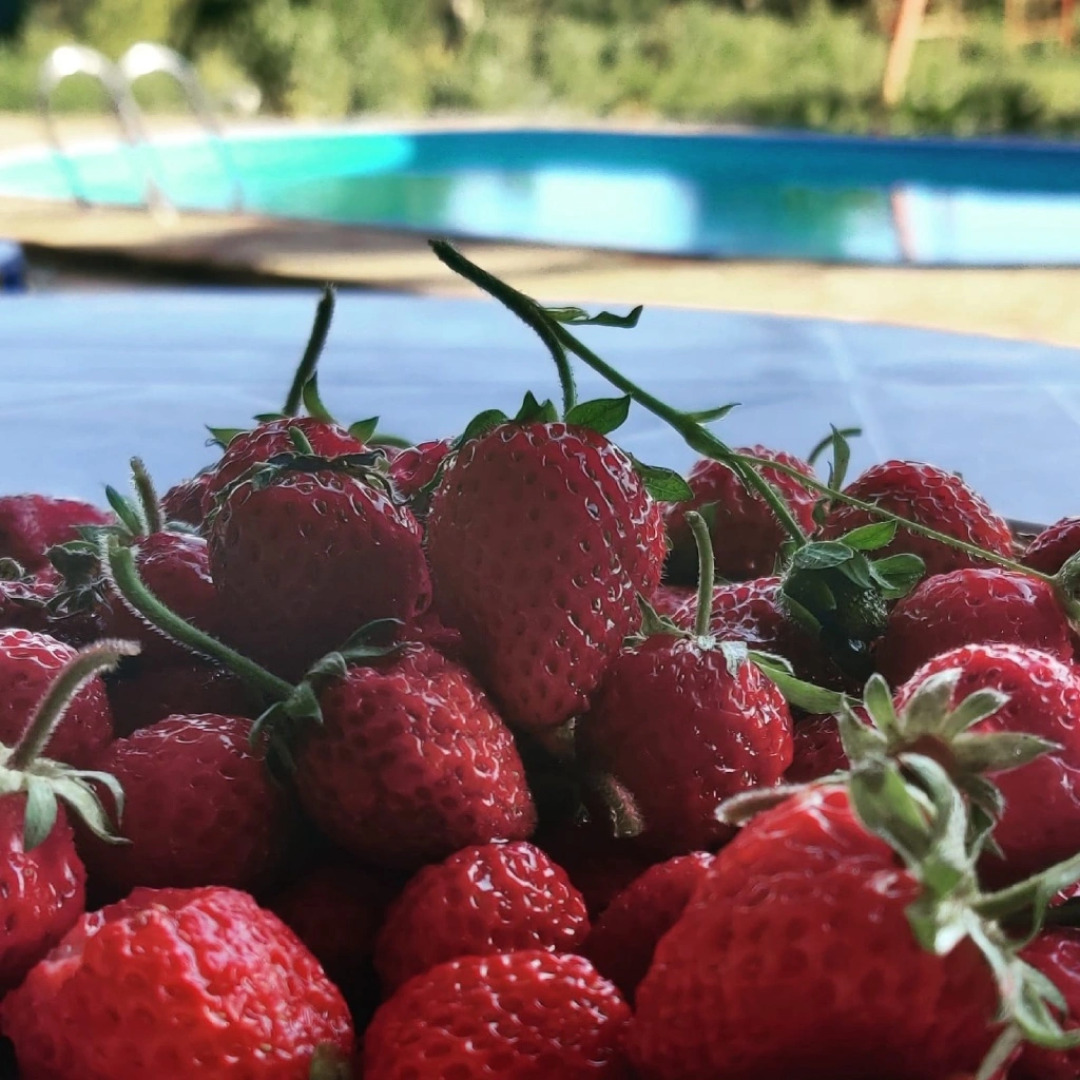 Апартаменты Elephant Hotel