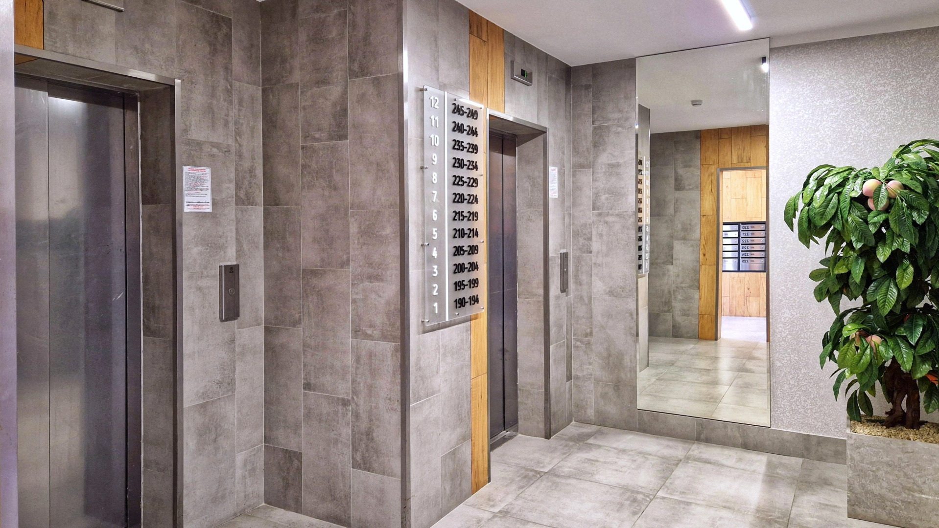 Квартира Однокомнатная от ProГости в ЖК Фрукты 2