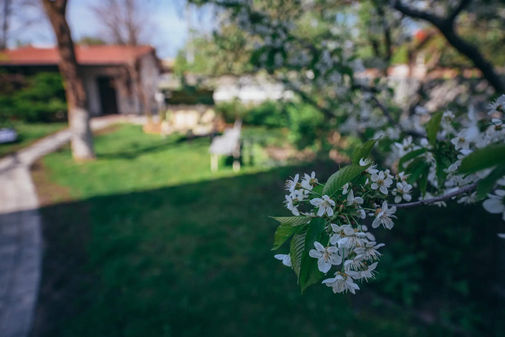 Частный дом в центре города с зеленым садом