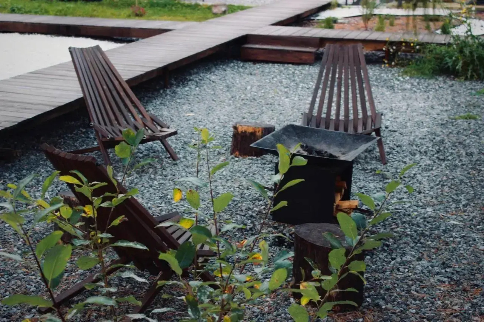 Частный дом ХВОЯ в окружении кедрового леса