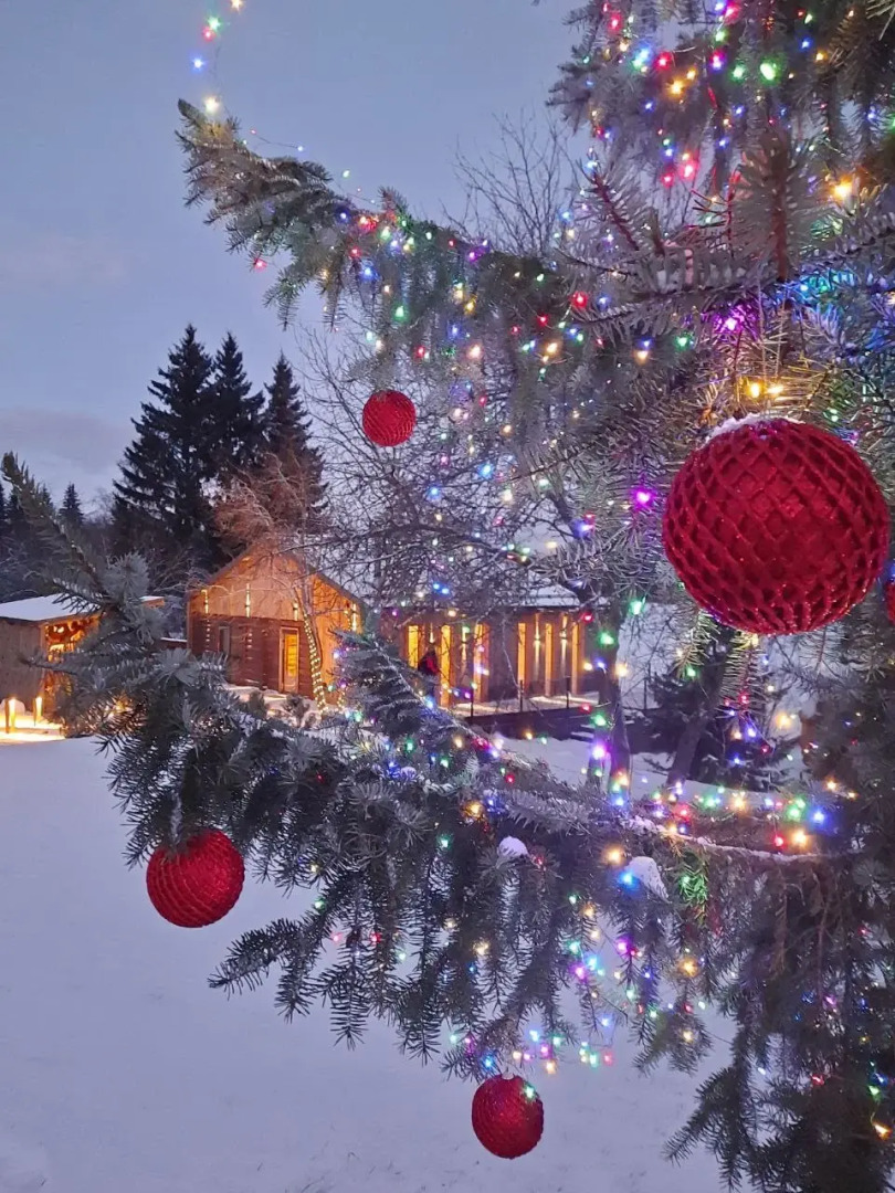 Бунгало Шаргора