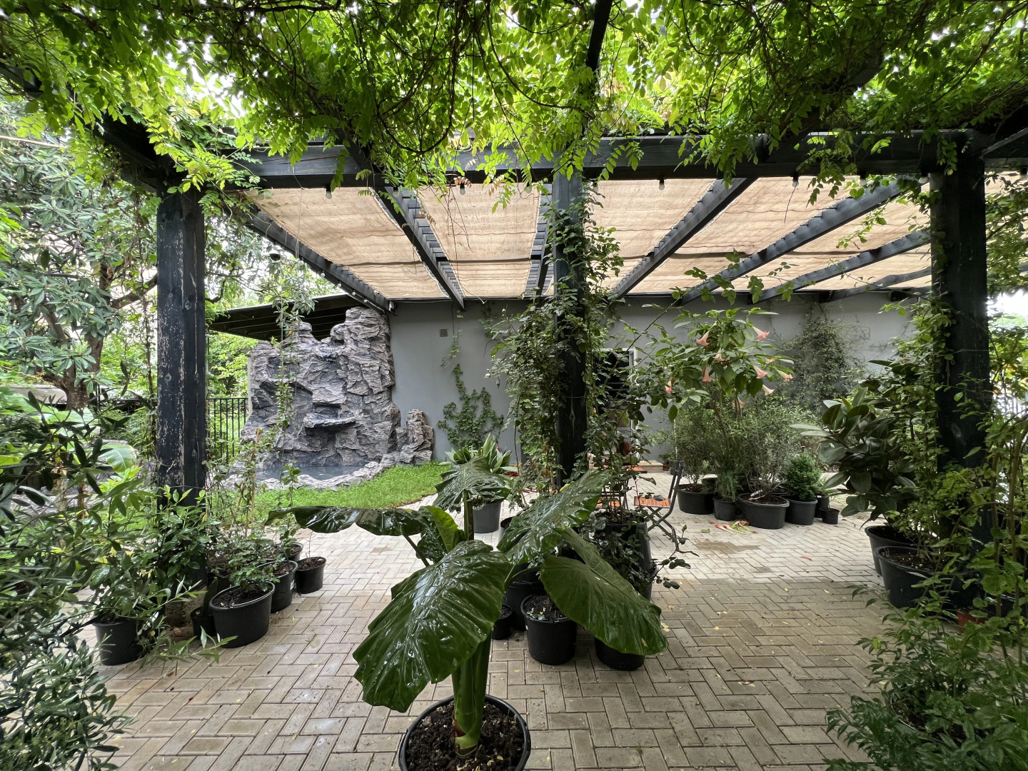 Отель Рита хаус