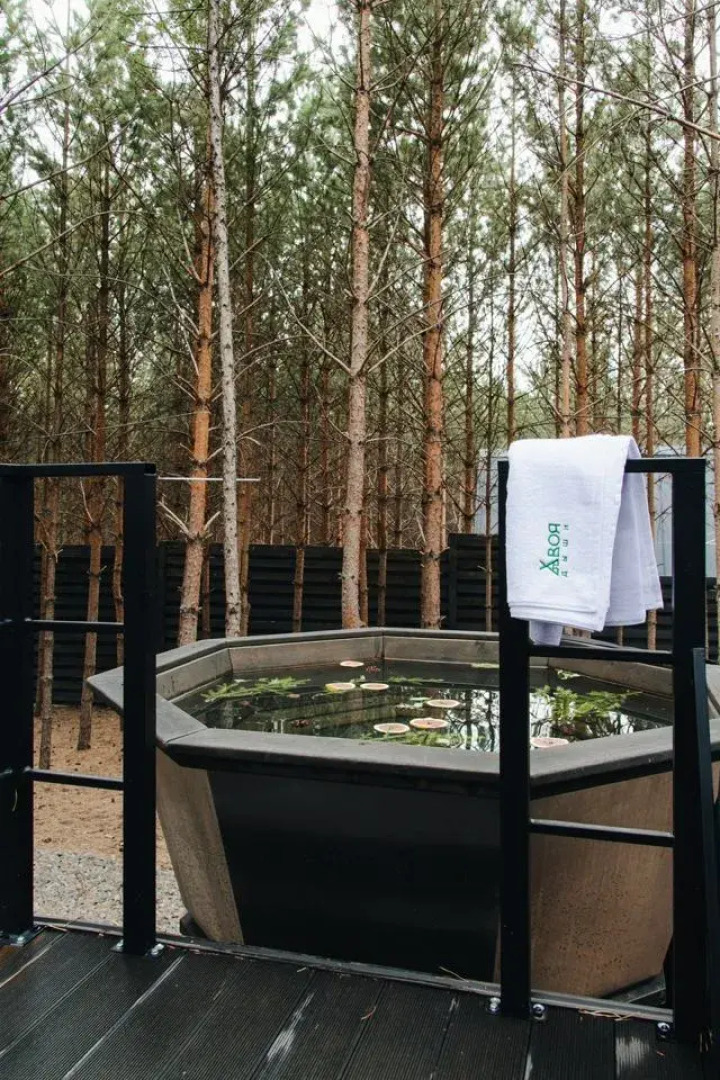 Частный дом Хвоя Светлый