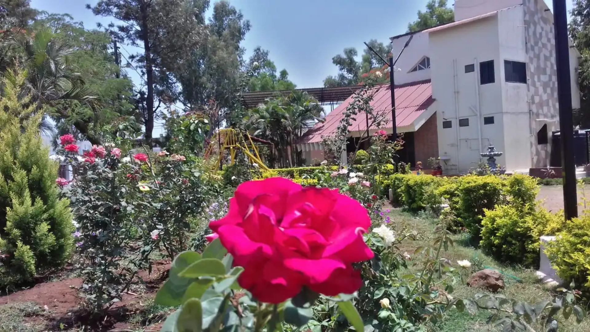 Бунгало Sharmin Rose