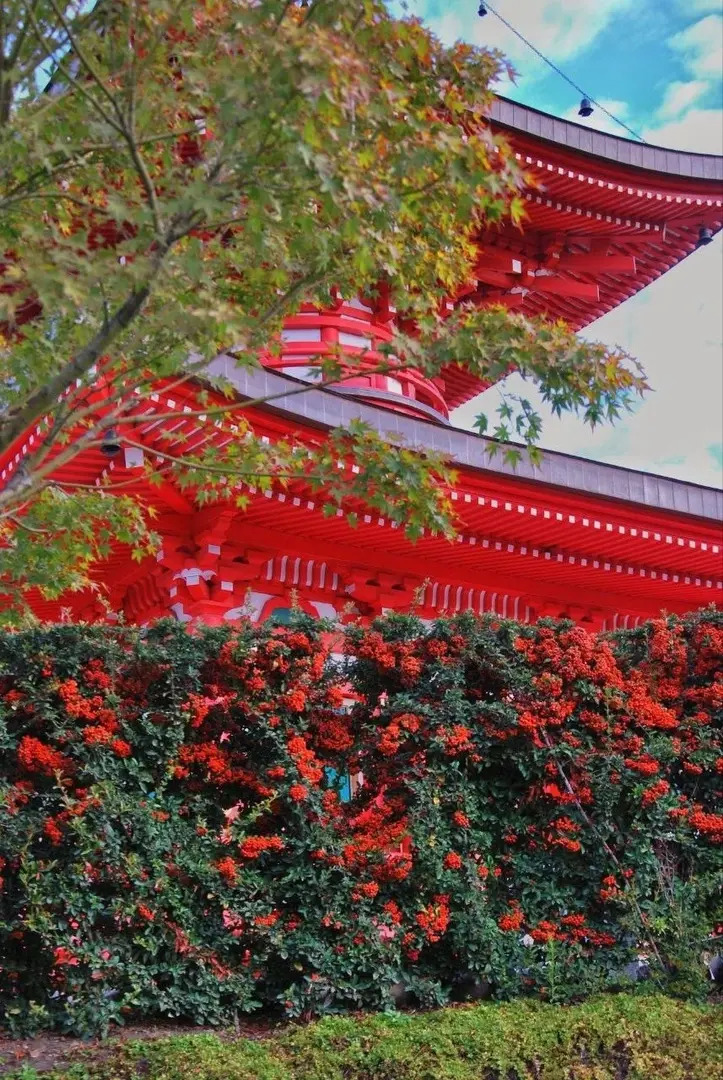 Апартаменты Сутки В Крд у Парка Краснодар