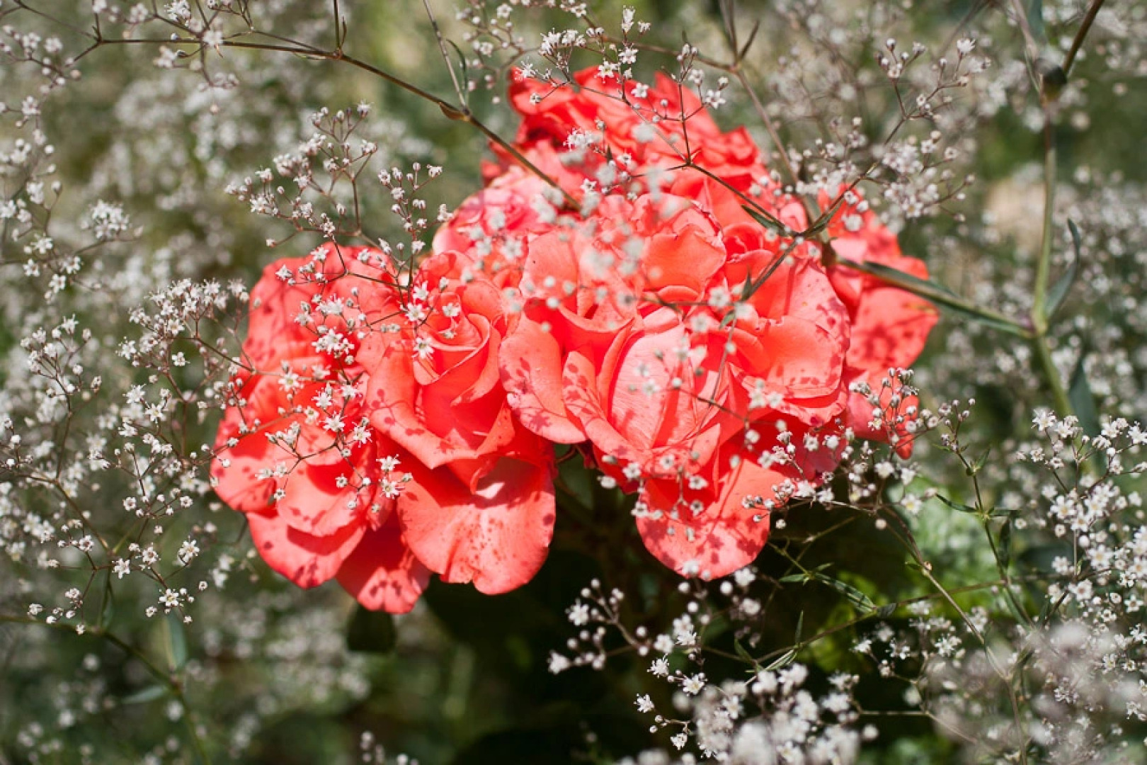 Гостевой Дом Вилла Светлана