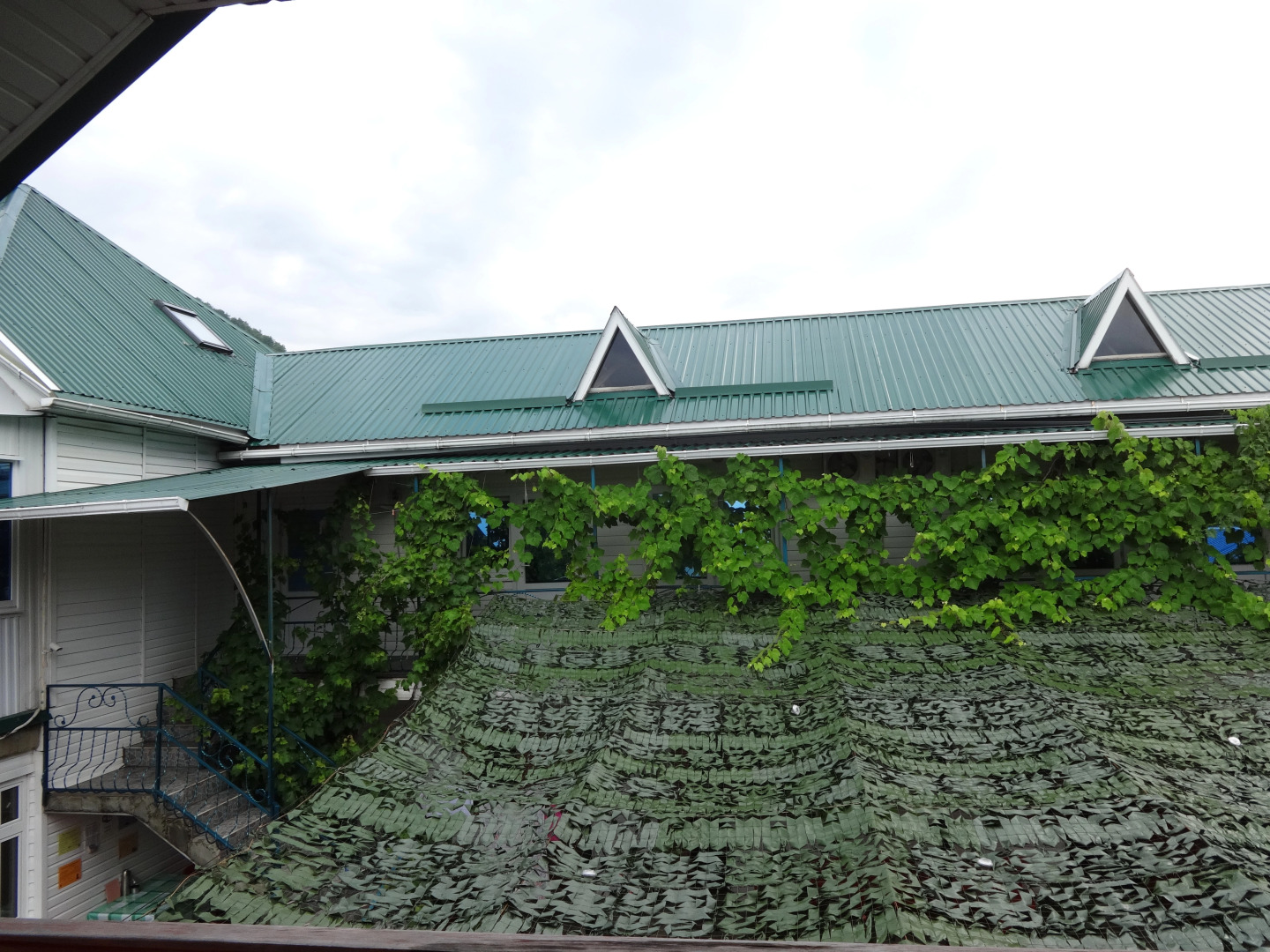 Belyij Parohod Guest House