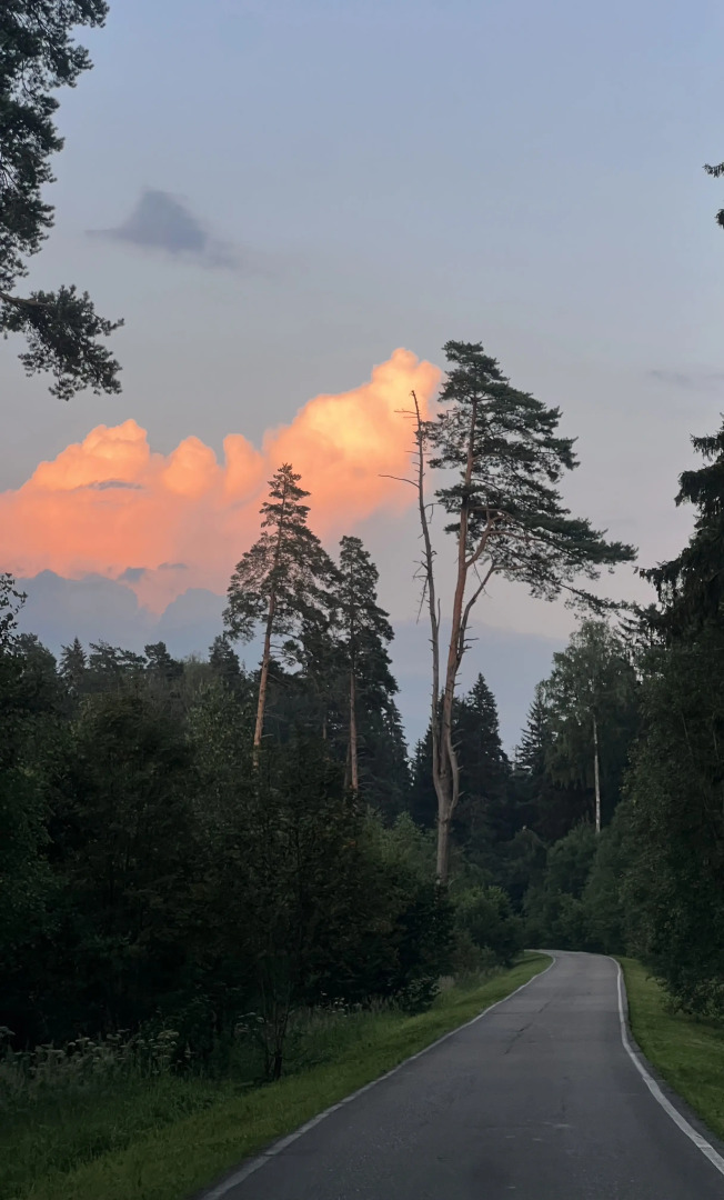 Частный дом Уютный просторный дом с панарамными окнами в березовой роще