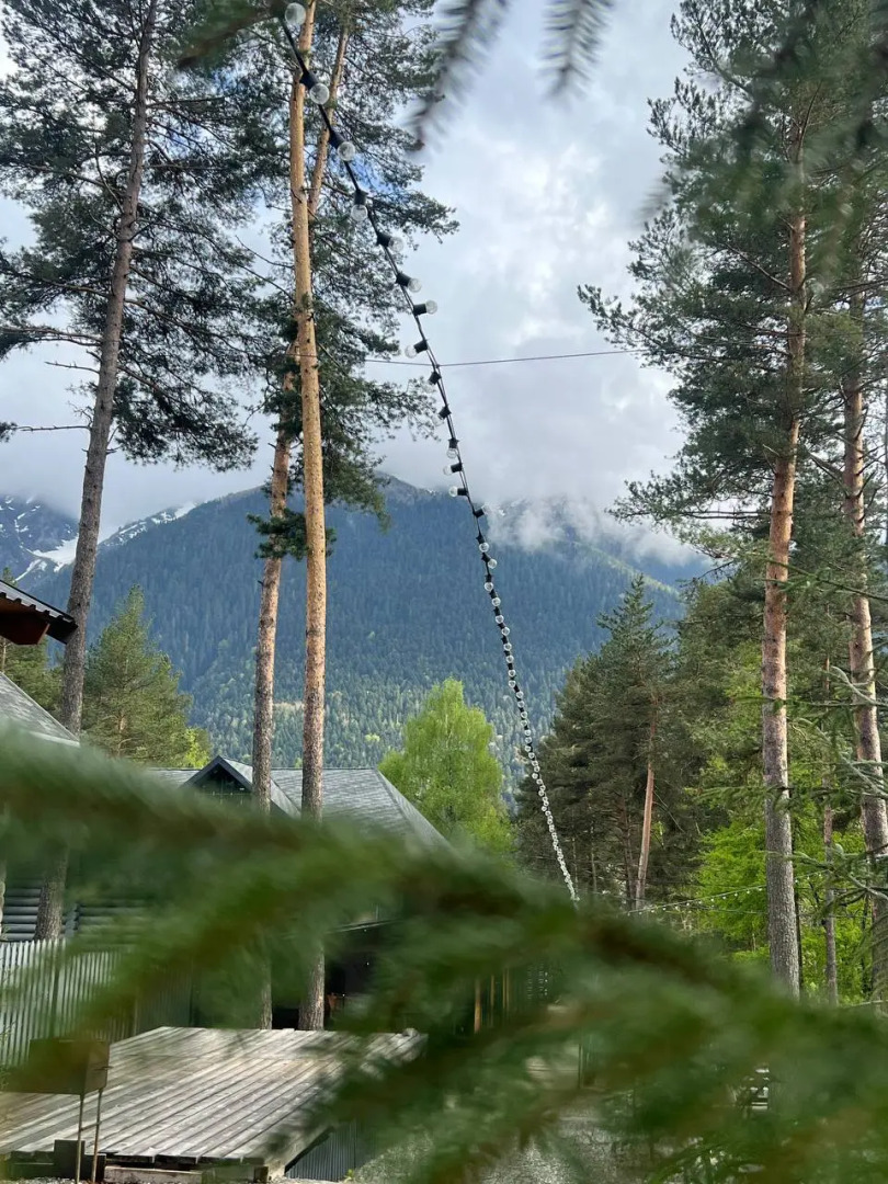 База отдыха Сосновка